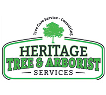 heritage-tree-and-arborist